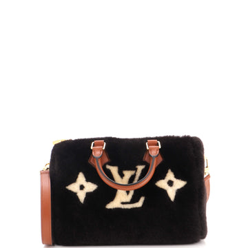 Louis Vuitton Speedy Bandouliere Bag Monogram Cozygram Shearling 25
