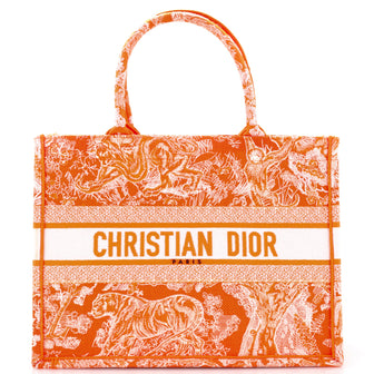 Christian Dior Book Tote Embroidered Canvas Medium