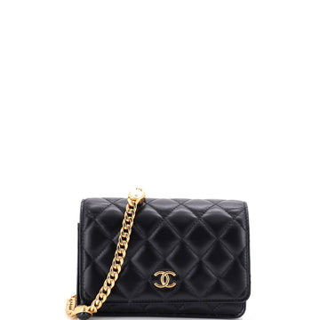 Chanel Resin Pearl Chain Flap Bag Quilted Lambskin Mini