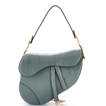 Christian Dior Saddle Handbag Python Medium