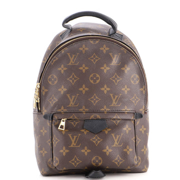Louis Vuitton Palm Springs Backpack Monogram Canvas PM
