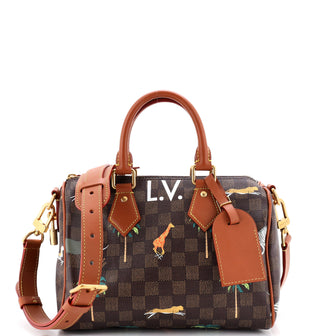 Louis Vuitton Speedy Bandouliere Bag Limited Edition The Darjeeling Damier 25
