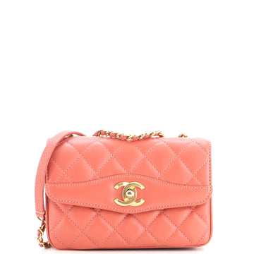 Chanel Daily Companion Coco Vintage Flap Bag Quilted Lambskin Small