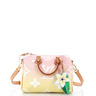 Louis Vuitton Speedy Bandouliere Bag By The Pool Monogram Giant 25