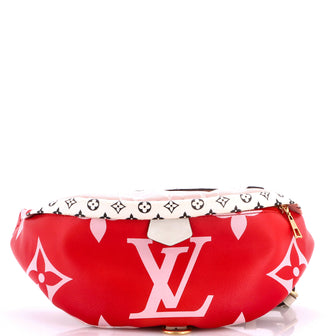 Louis Vuitton Bum Bag Limited Edition Colored Monogram Giant