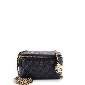 Chanel Enamel Multi CC Chain Vanity Case Quilted Lambskin Small