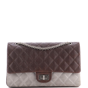 Chanel Bicolor Reissue 2.55 Flap Bag Quilted Caviar and Washed Lambskin 227