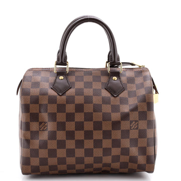 Louis Vuitton Speedy Handbag Damier 25