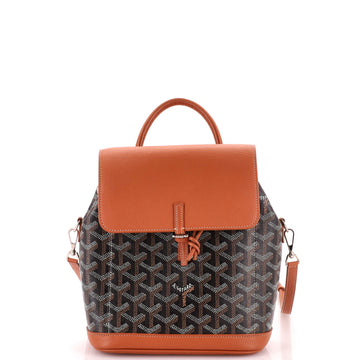 Goyard Alpin Backpack Coated Canvas Mini