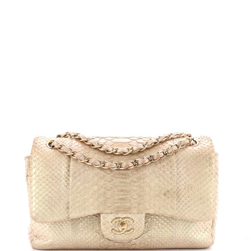 Chanel Classic Double Flap Bag Iridescent Python Jumbo