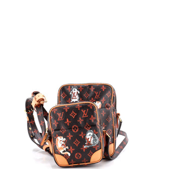 Louis Vuitton Paname Bag Set Limited Edition Grace Coddington Catogram Canvas