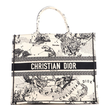 Christian Dior Book Tote Embroidered Canvas Large