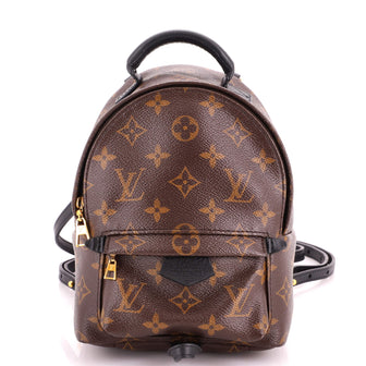 Louis Vuitton Palm Springs Backpack Monogram Canvas Mini