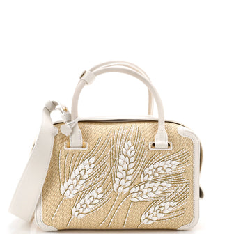 Delvaux Cool Box Bag Leather and Embroidered Raffia MM