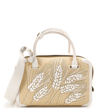 Delvaux Cool Box Bag Leather and Embroidered Raffia MM