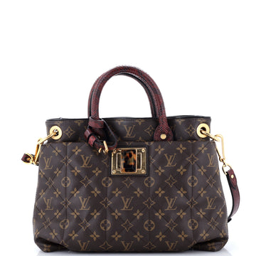 Louis Vuitton Exotique Handbag Monogram Etoile MM