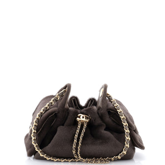 Chanel 25 Hobo Bag Pony Hair Mini
