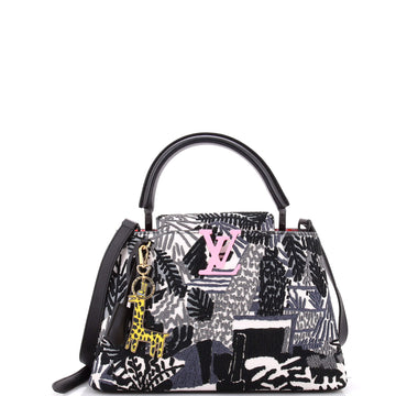 Louis Vuitton Jonas Wood ArtyCapucines Bag Embroidered Printed Leather PM