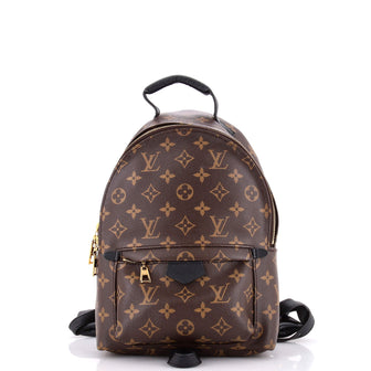 Louis Vuitton Palm Springs Backpack Monogram Canvas PM