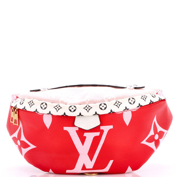 Louis Vuitton Bum Bag Limited Edition Colored Monogram Giant