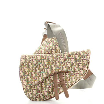 Christian Dior Saddle Crossbody Bag Oblique Canvas