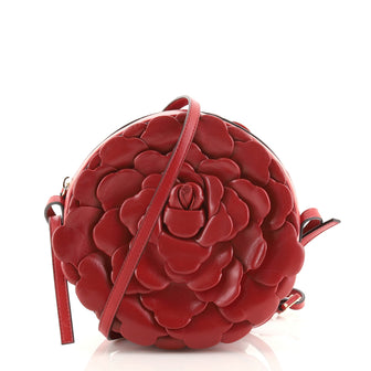 Valentino Atelier Round Crossbody Bag Rose Edition Leather