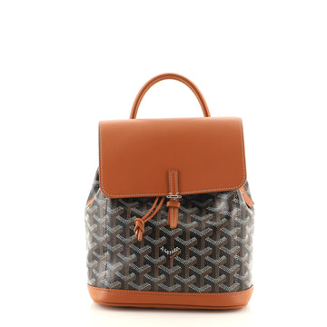 Goyard Alpin Backpack Coated Canvas Mini