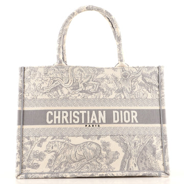Christian Dior Book Tote Embroidered Canvas Small