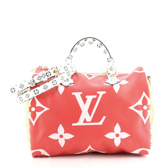 Louis Vuitton Speedy Bandouliere Bag Limited Edition Colored