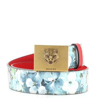 Gucci Animalier Plaque Belt Blooms Print GG Coated Canvas Wide