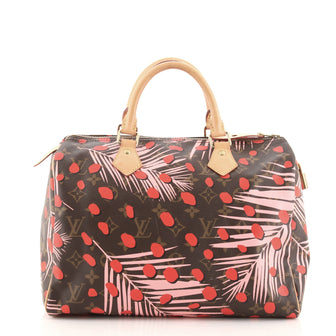 Louis Vuitton Speedy Handbag Limited Edition Monogram Jungle Dots 30