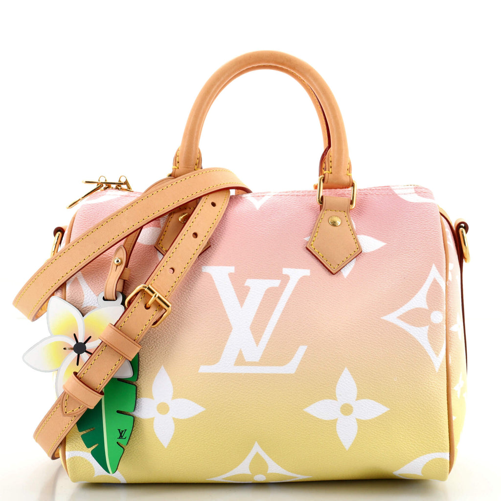 Louis Vuitton Speedy Bandouliere Bag by The Pool Monogram Giant 25 Multicolor