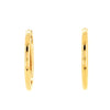 Louis Vuitton Louise Hoop Earrings Metal Gold 1403721