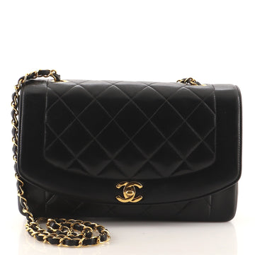 Chanel Vintage Diana Flap Bag Quilted Lambskin Medium
