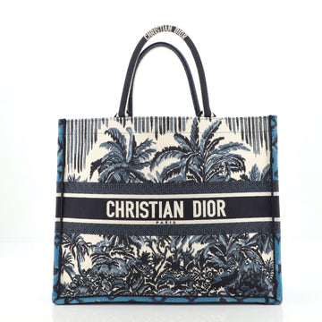 Christian Dior Book Tote Embroidered Canvas