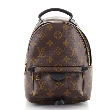 Louis Vuitton Palm Springs Backpack Monogram Canvas Mini