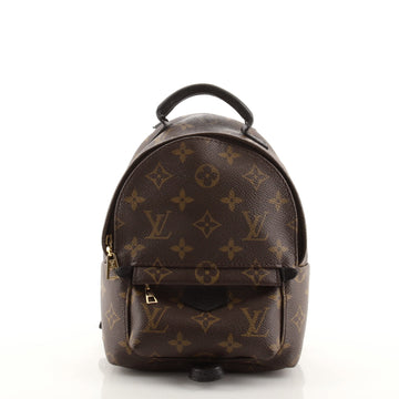 Louis Vuitton Palm Springs Backpack Monogram Canvas Mini