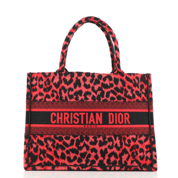 Christian Dior Book Tote Mizza Embroidered Canvas Small