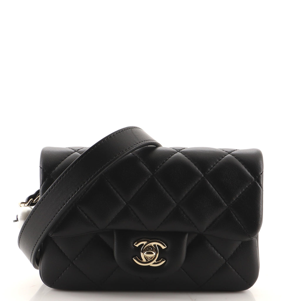 CHANEL, Bags, Chanelcc 220 Waist Bag With Pouch