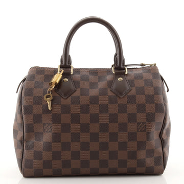 Louis Vuitton Speedy Handbag Damier 25