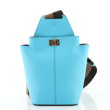Fendi Guitar Bag Leather Mini
