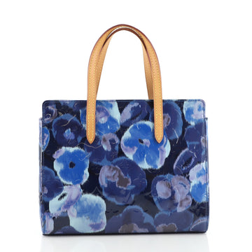 Louis Vuitton Catalina Handbag Limited Edition Monogram Vernis Ikat BB