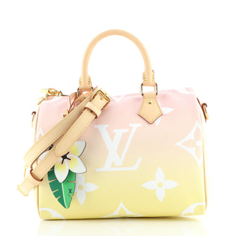Louis Vuitton Speedy Bandouliere Bag By The Pool Monogram Giant 25