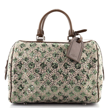 Louis Vuitton Speedy Handbag Limited Edition Sunshine Express 30