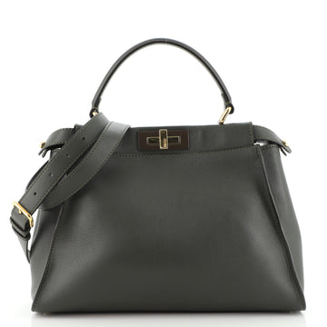 Fendi Peekaboo Bag Rigid Leather Regular