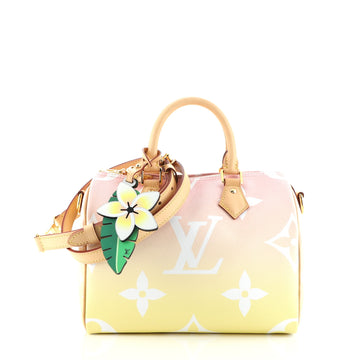 Louis Vuitton Speedy Bandouliere Bag By The Pool Monogram Giant 25