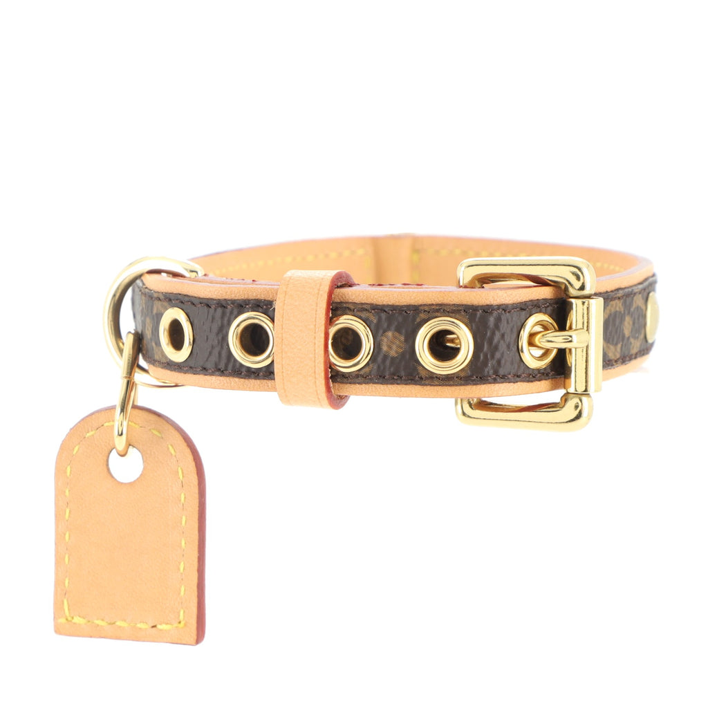 PUG & Louis Vuitton BAXTER monogram dog collar! 