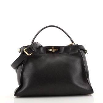 Fendi Peekaboo Bag Rigid Leather Regular