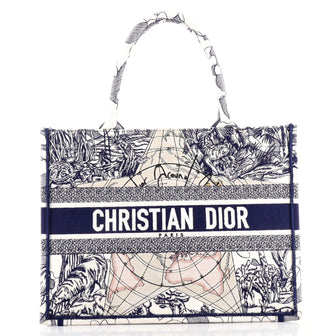 Christian Dior Book Tote Embroidered Canvas Small