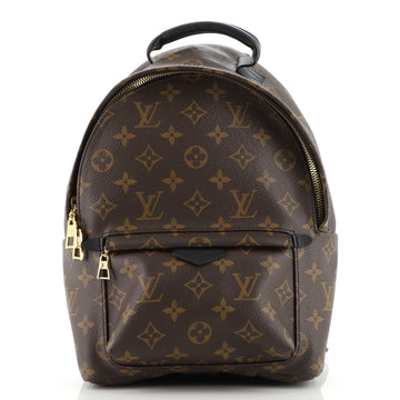 Louis Vuitton Palm Springs Backpack Monogram Canvas PM